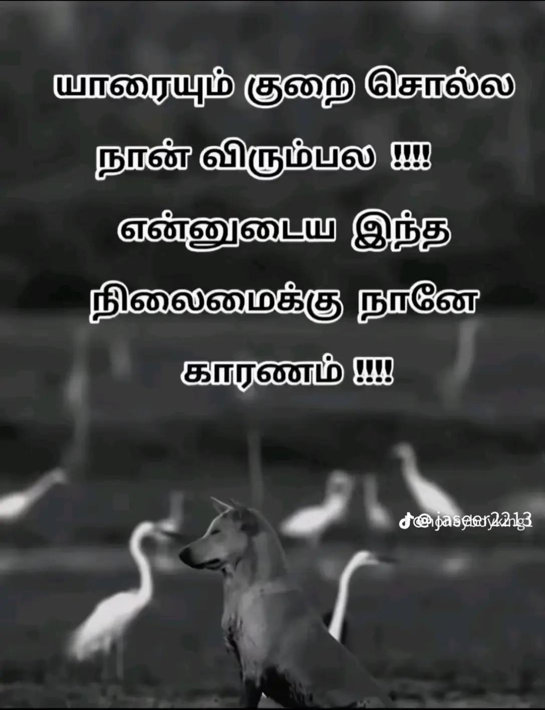 @Thavasi & 💕