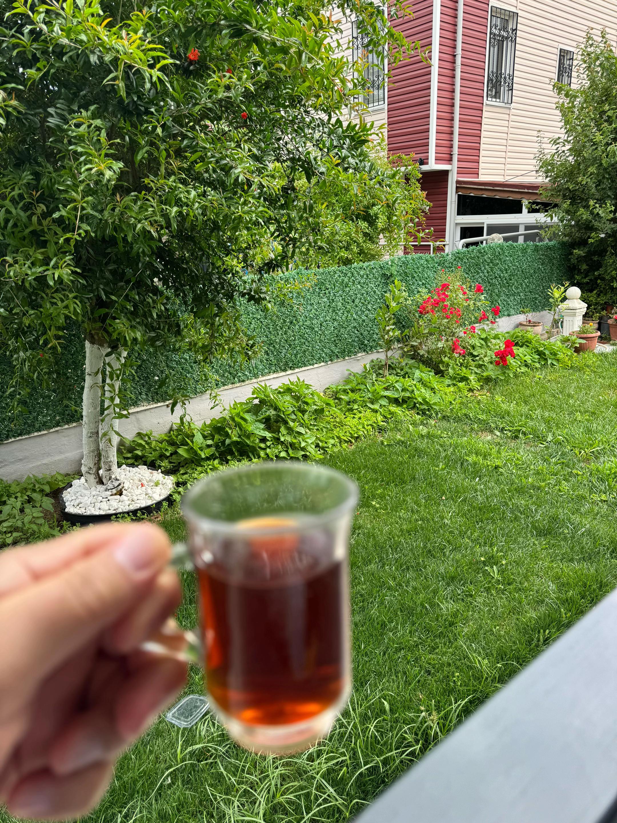 @TC Ercan Eskiköy