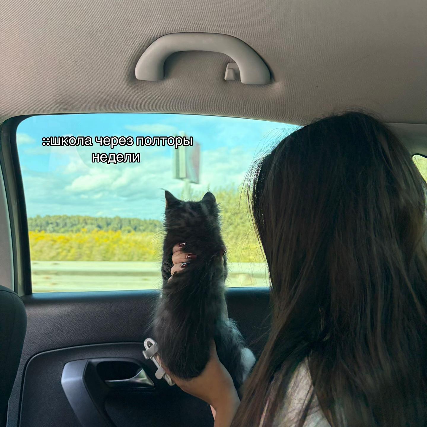 @соняшкаааа🌿