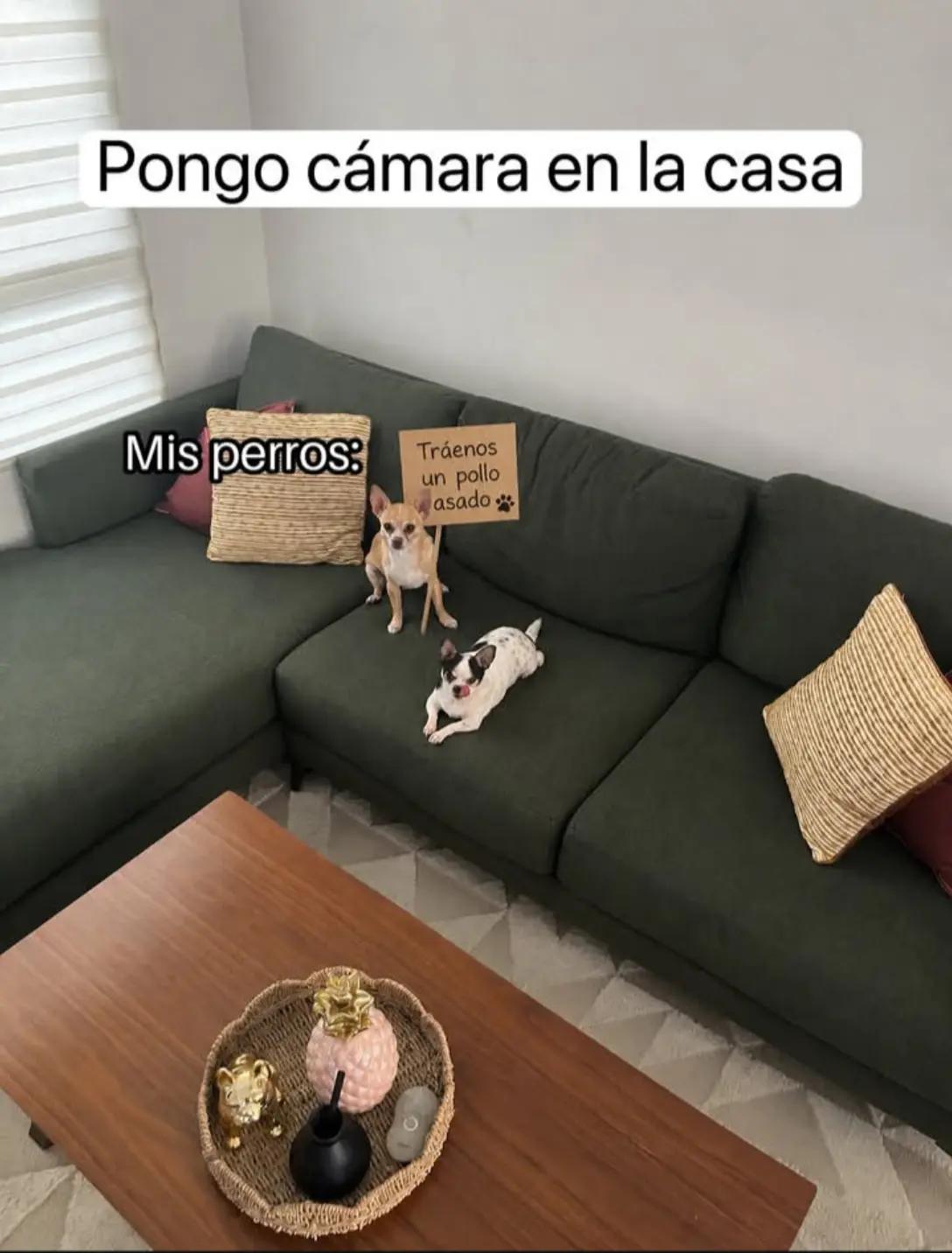 @Davmor