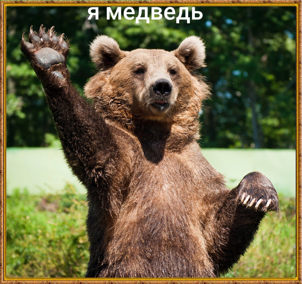 @tt:maral