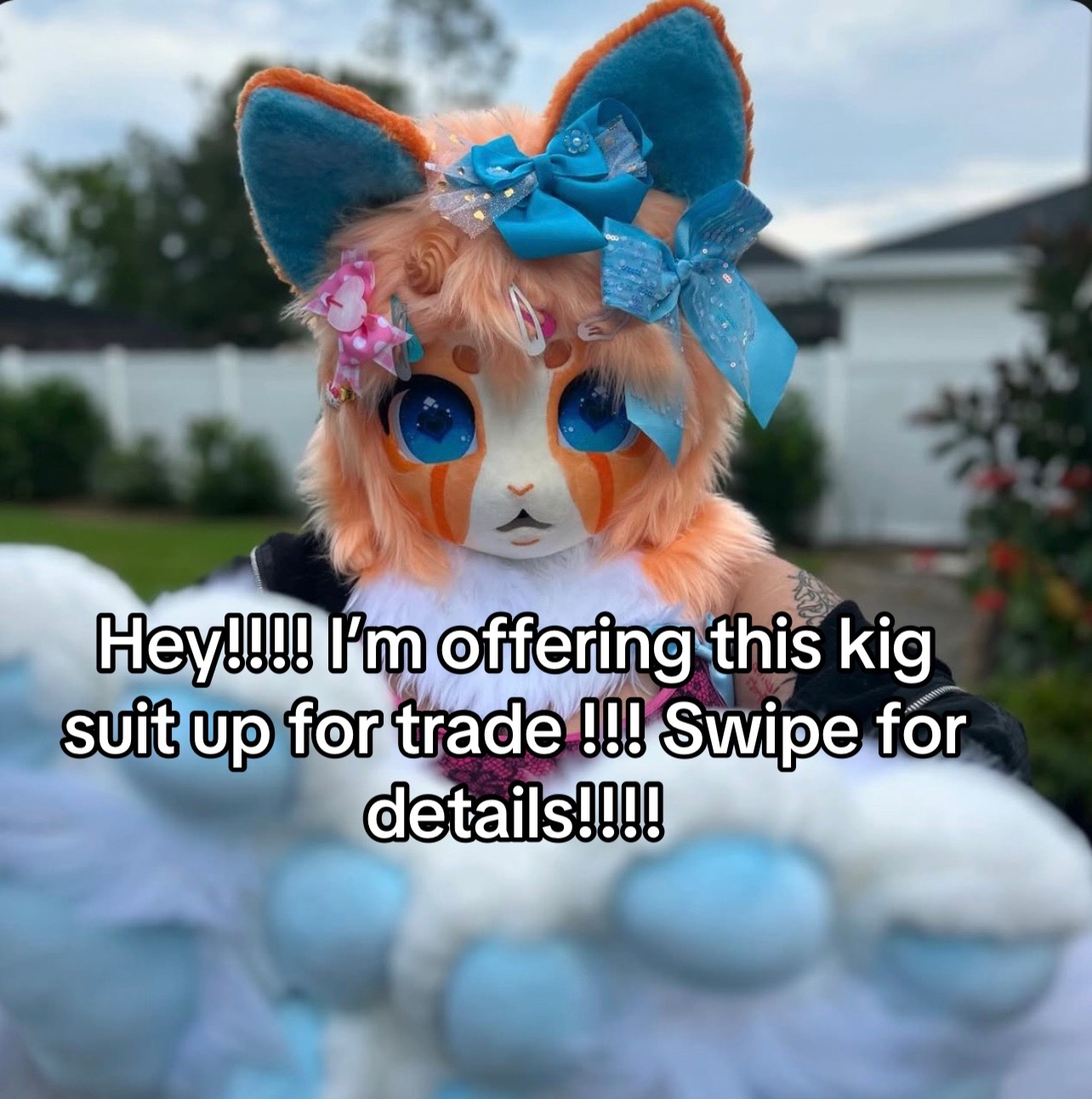 @🪽🌈 HOUND 🔜 MEGAPLEX 🐾