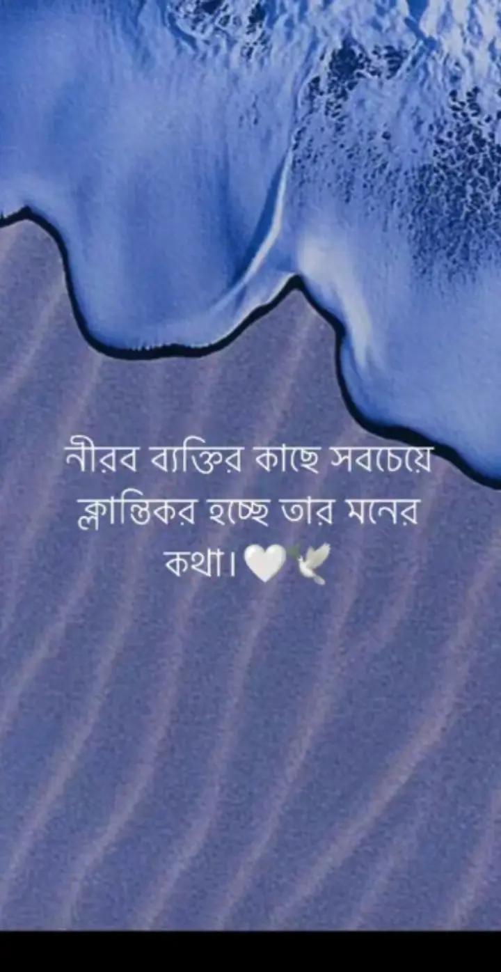 @Rozar Ammu(H+B)