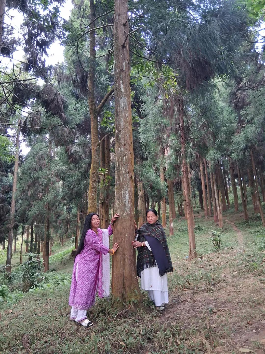 @Rita Limbu