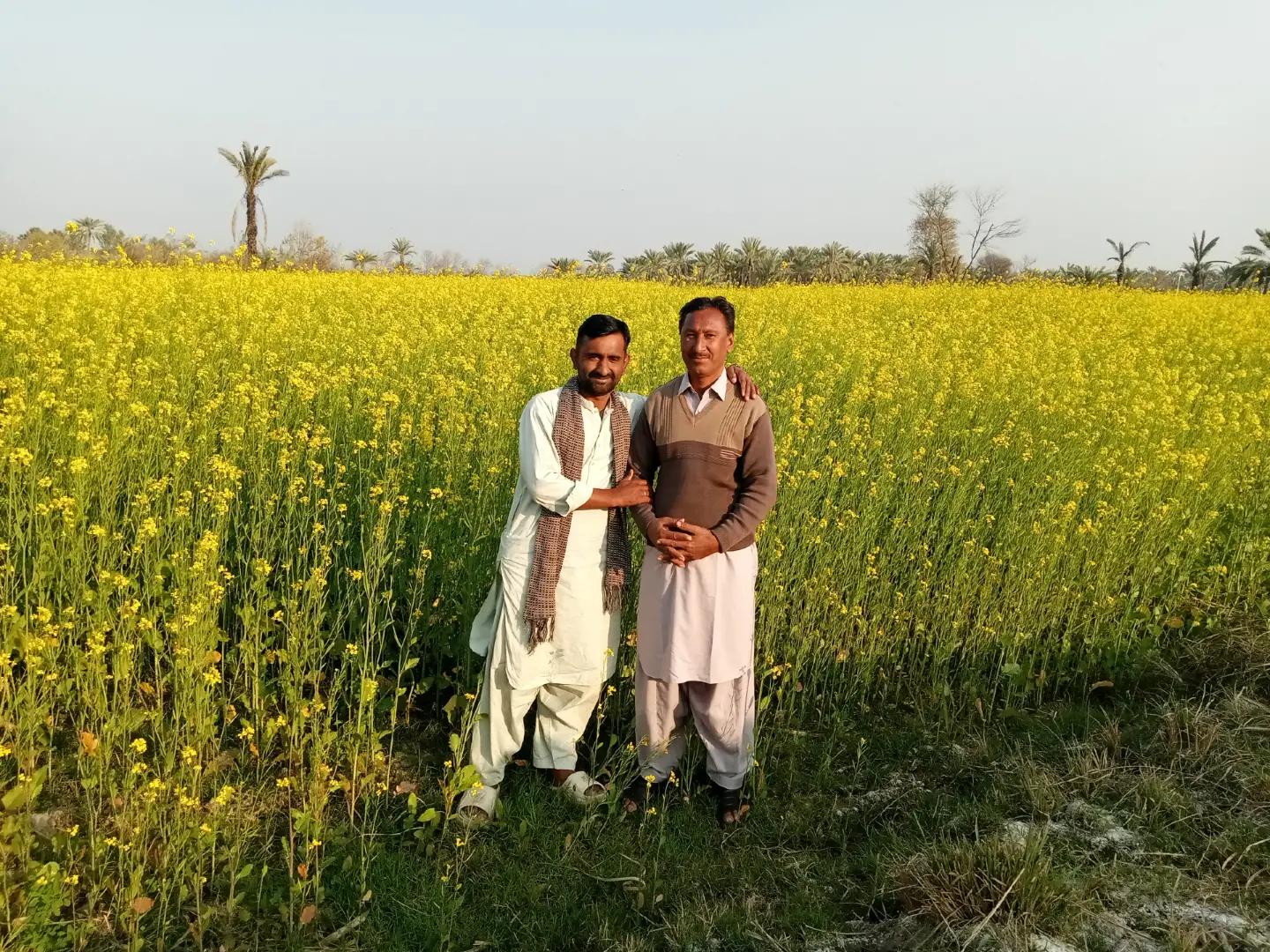 @Irfan Ali
