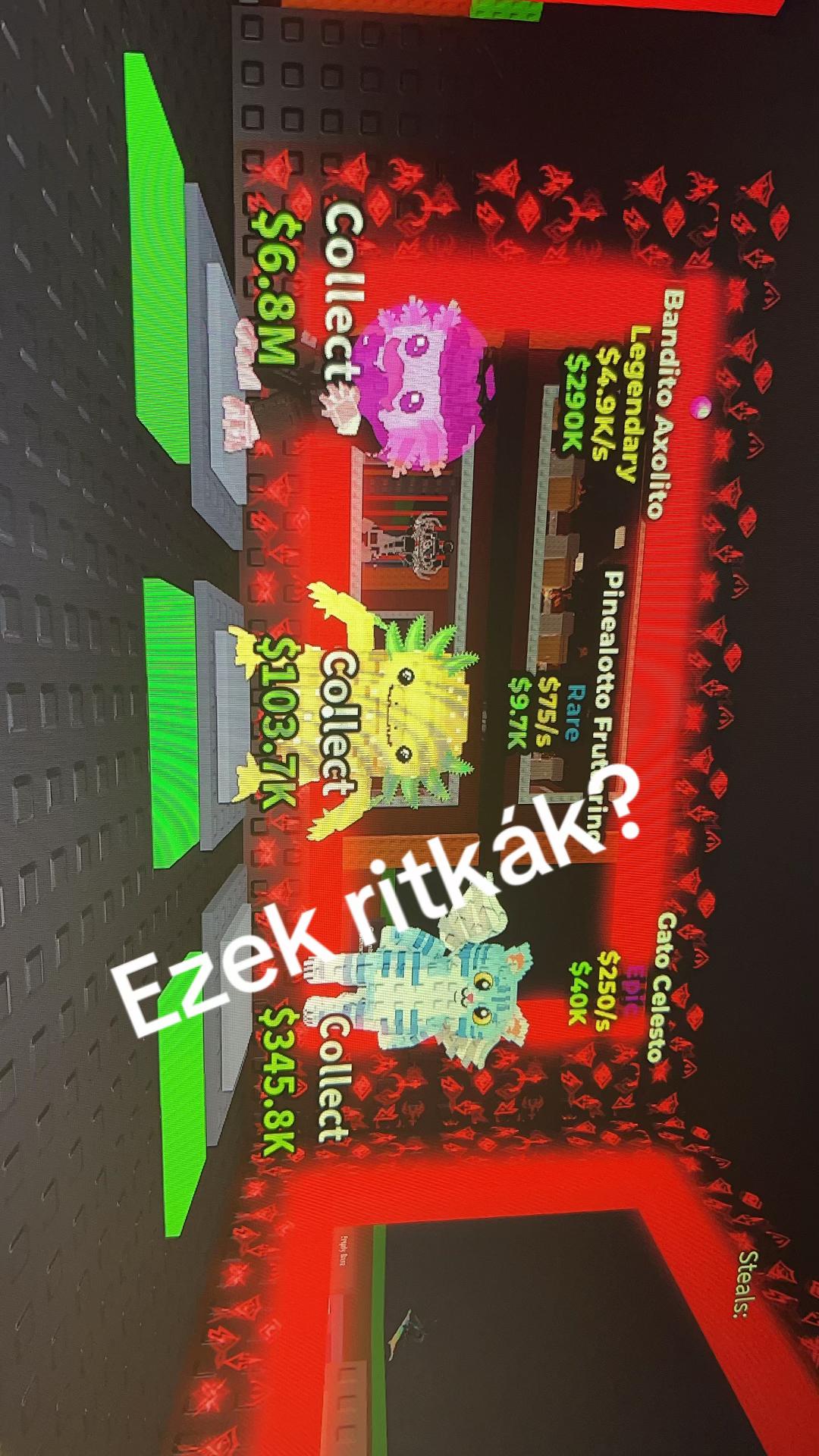 @kis_zalan