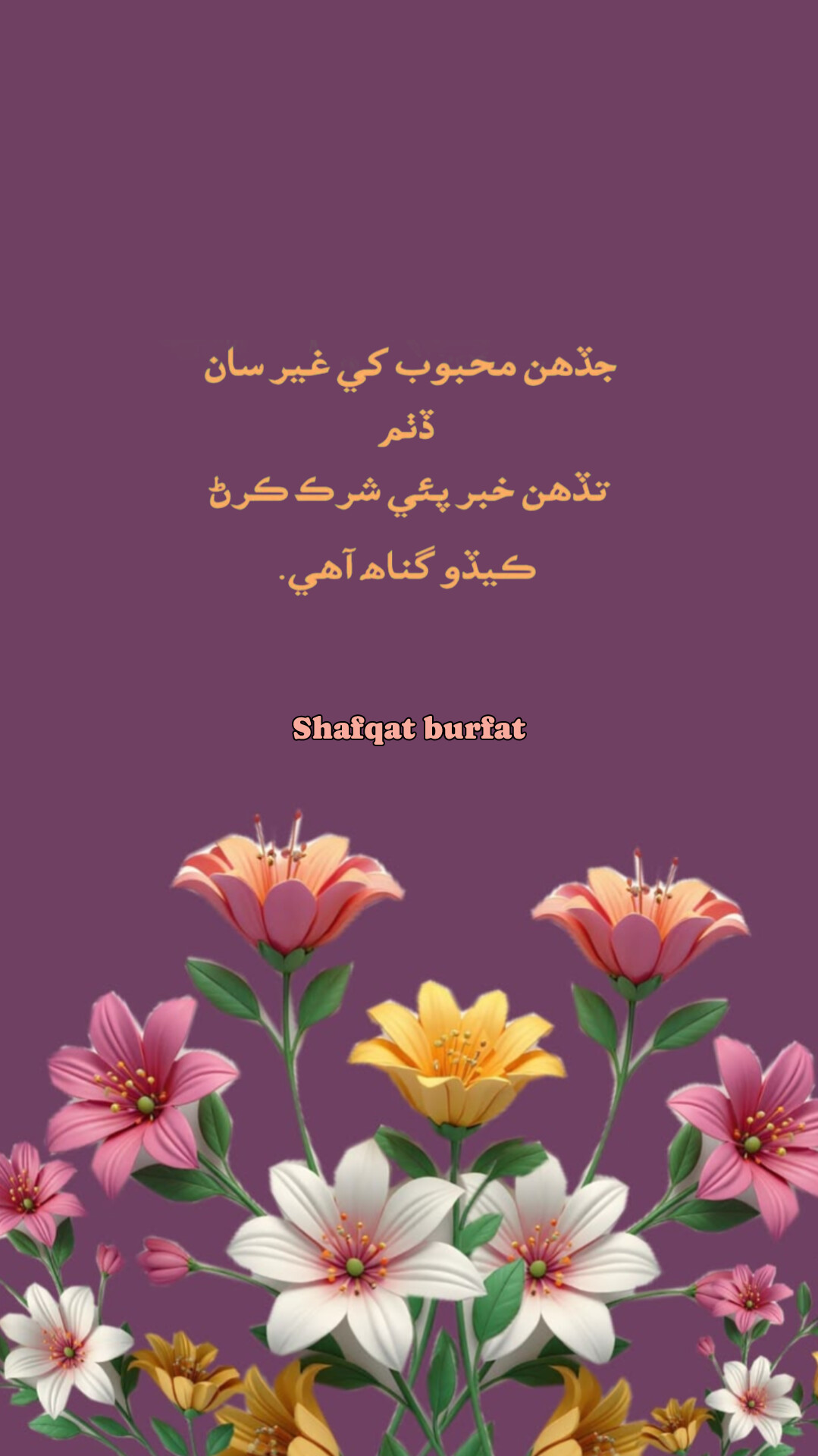 @shafqat burfat
