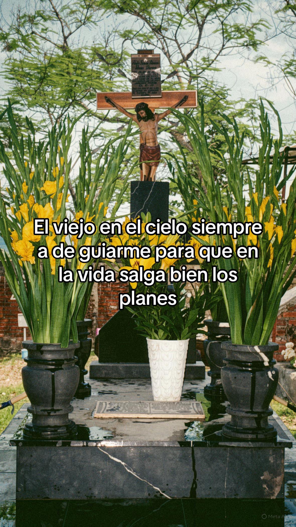 @Anette Rosas