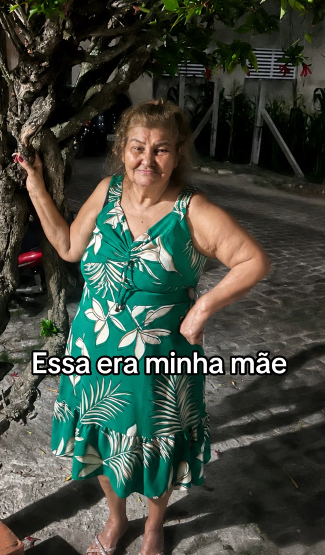 @tialaaraujotrans