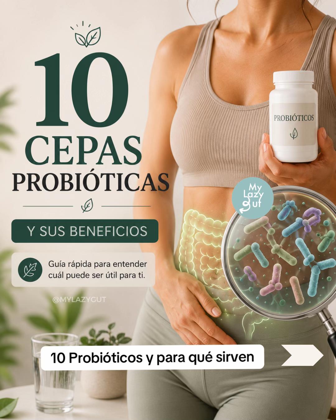 @Mylazygut/Salud Digestión