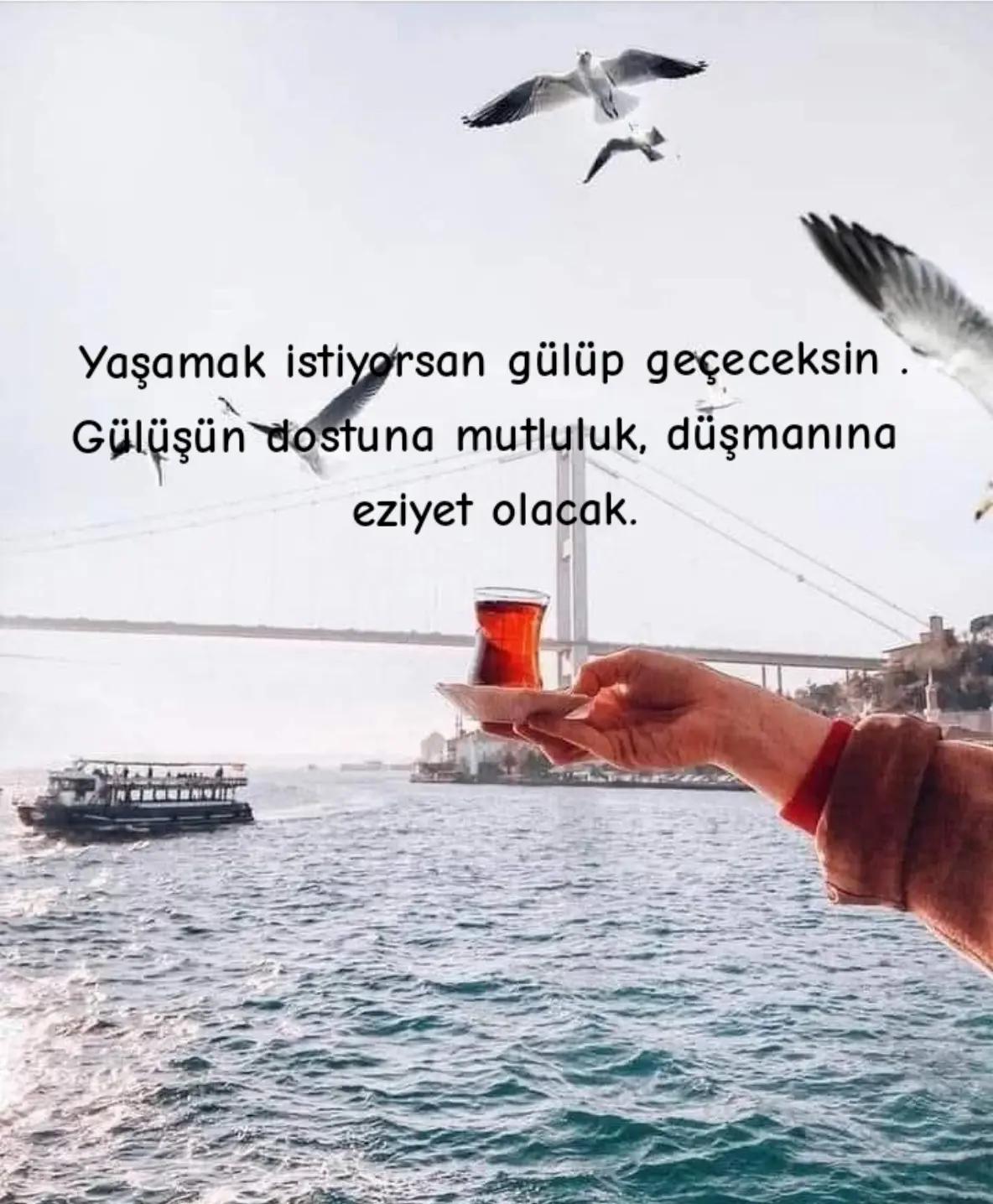 @Fatma Bolat