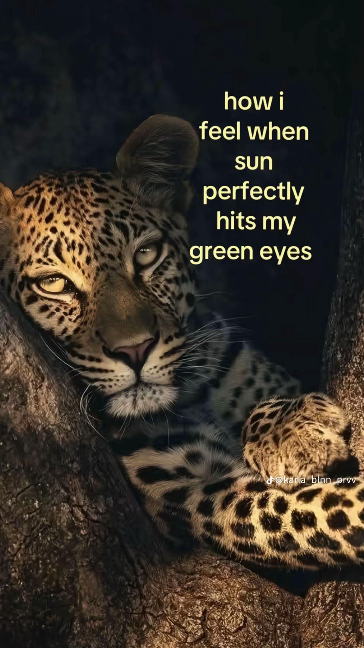 @rin