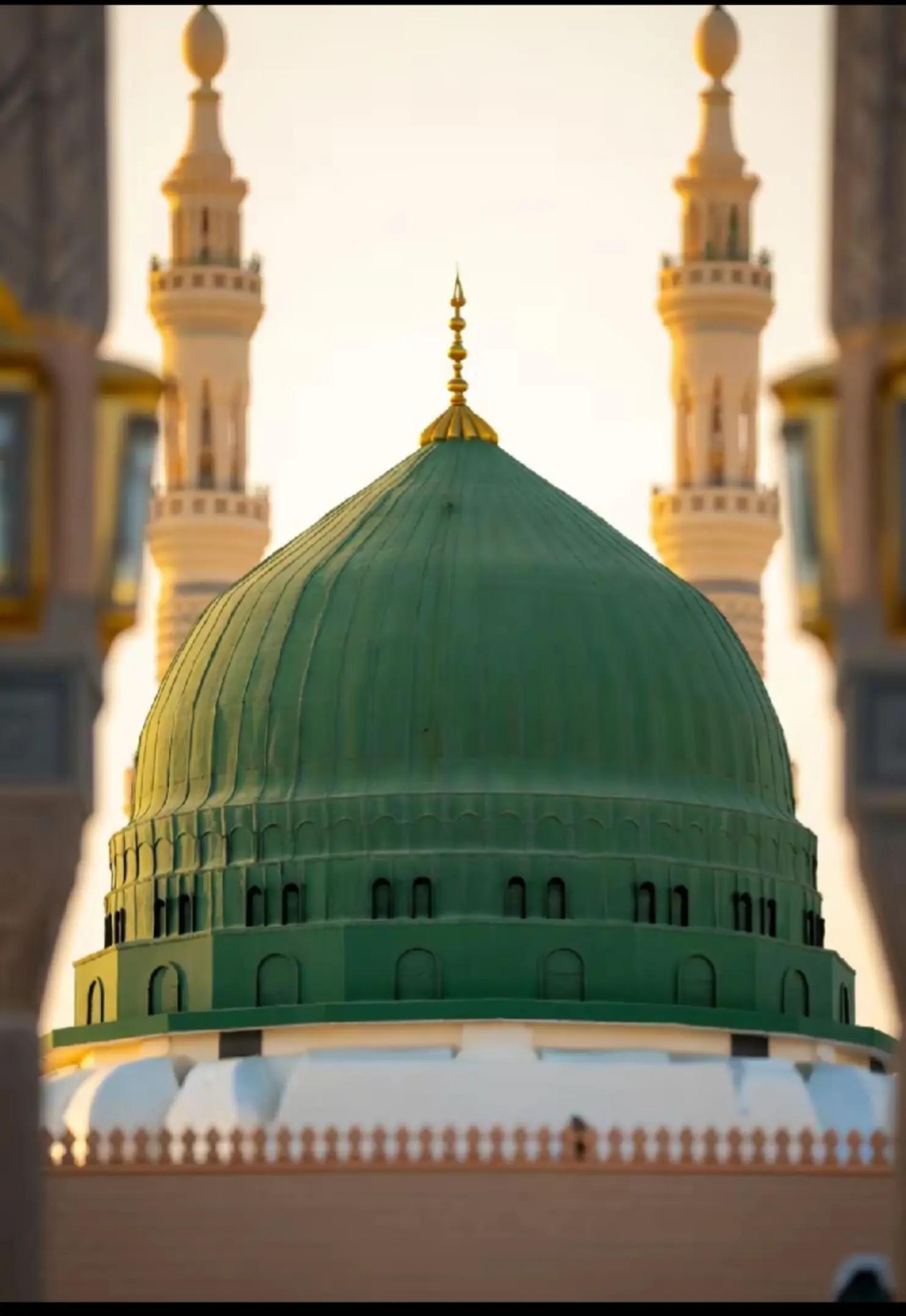 @☝️🥺🤍`&deg;جانم محمدﷺ &deg;`💚🥺🙌