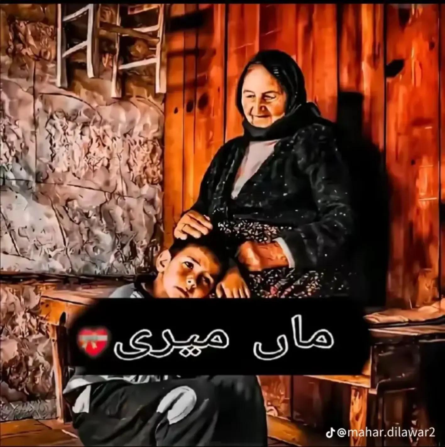 @no sjdjdhdhdhxx