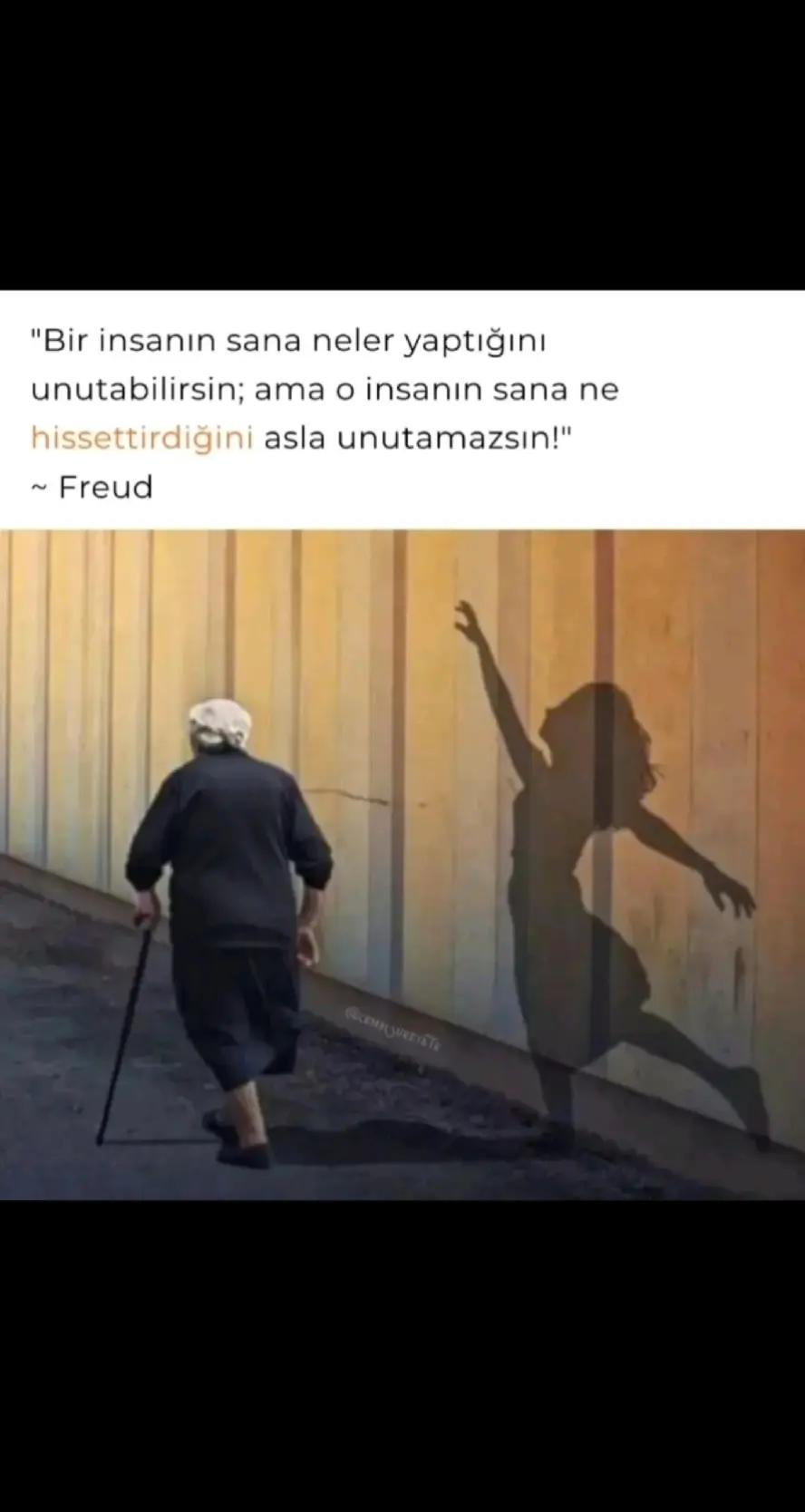 @hayattan izler