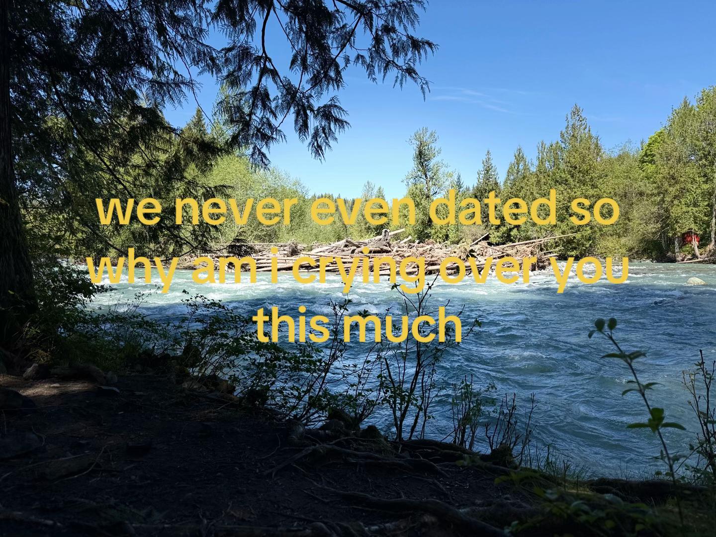 @koi