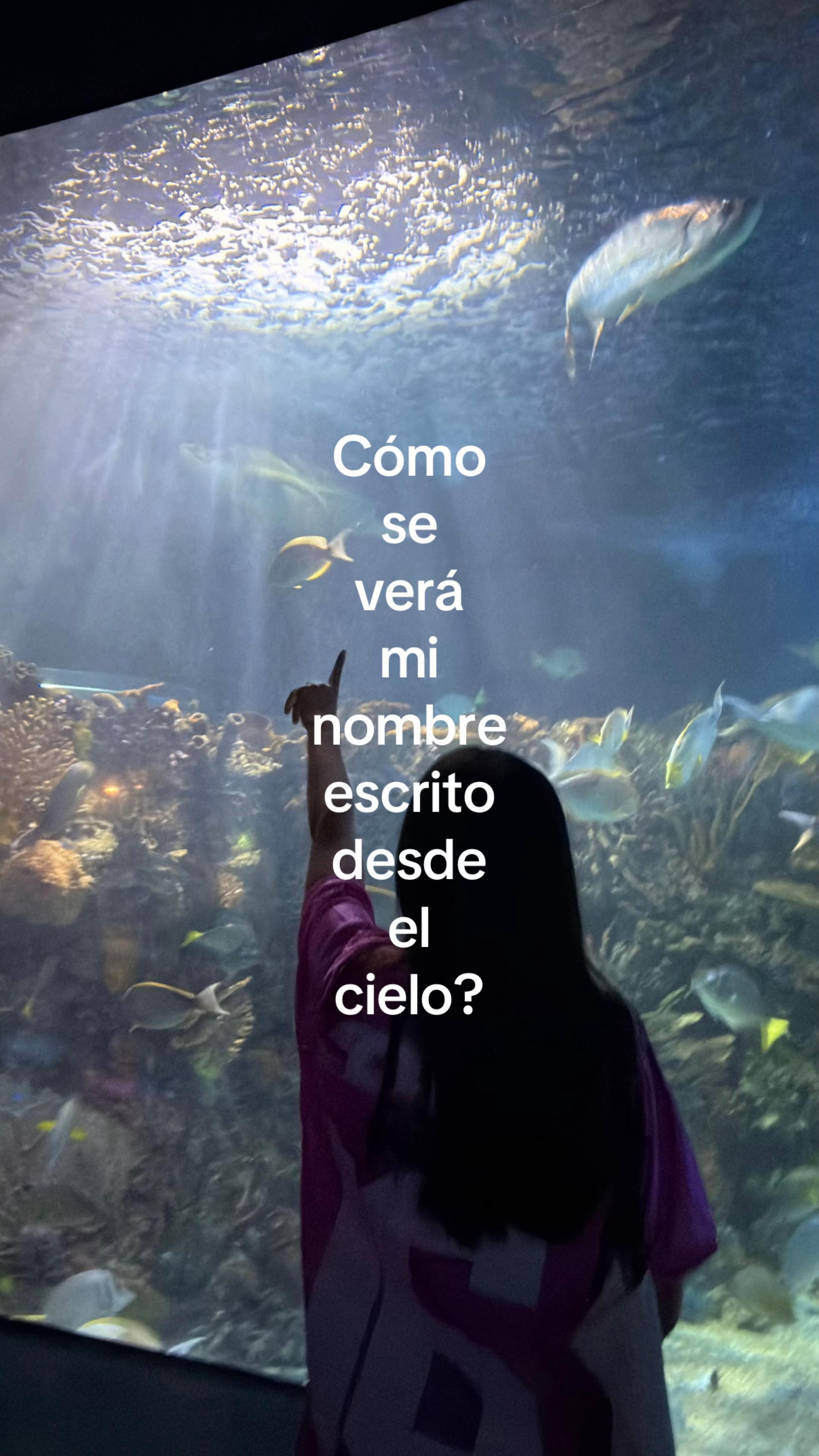 @YaredMer