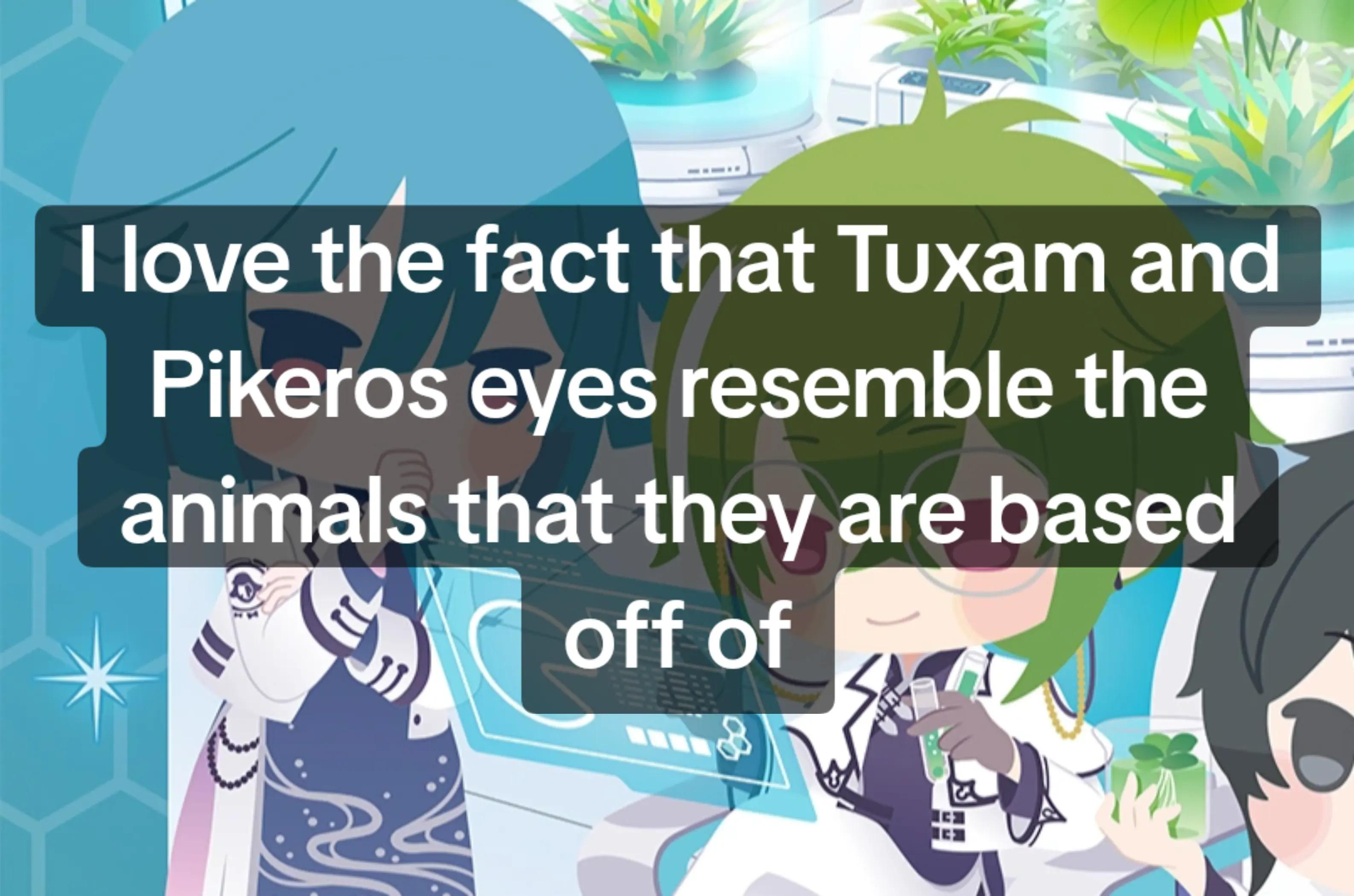 @Tuxam