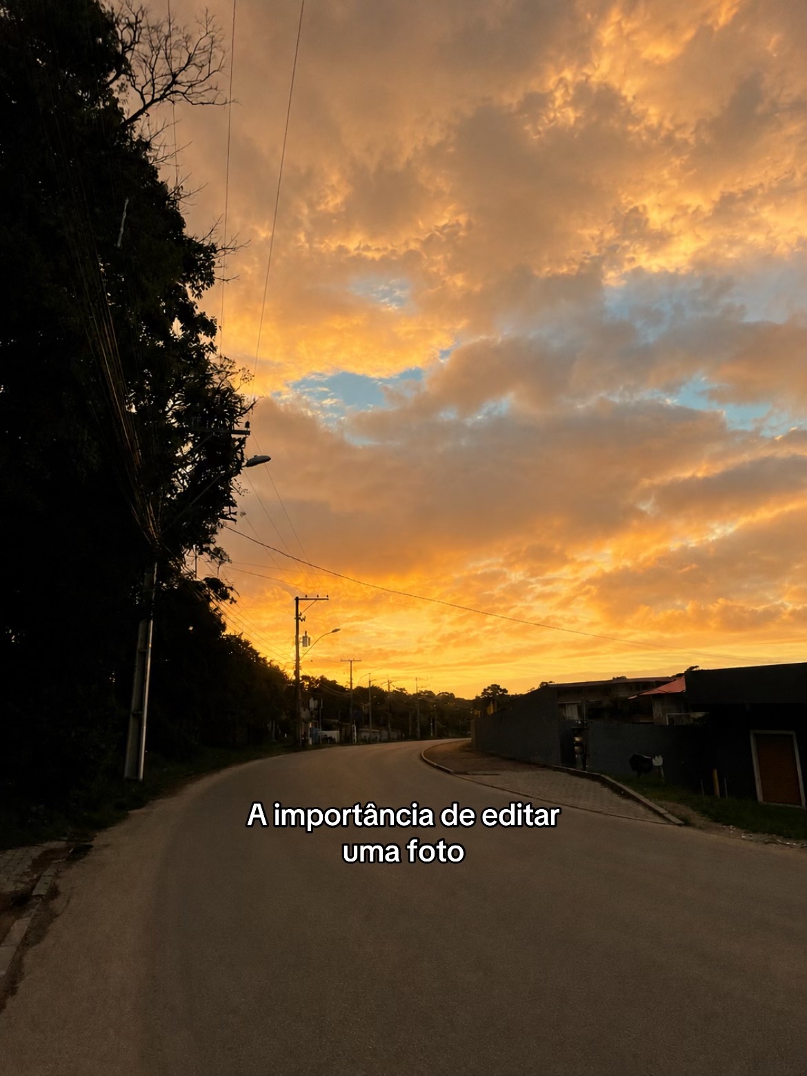 @aniguiiii❤️🩹