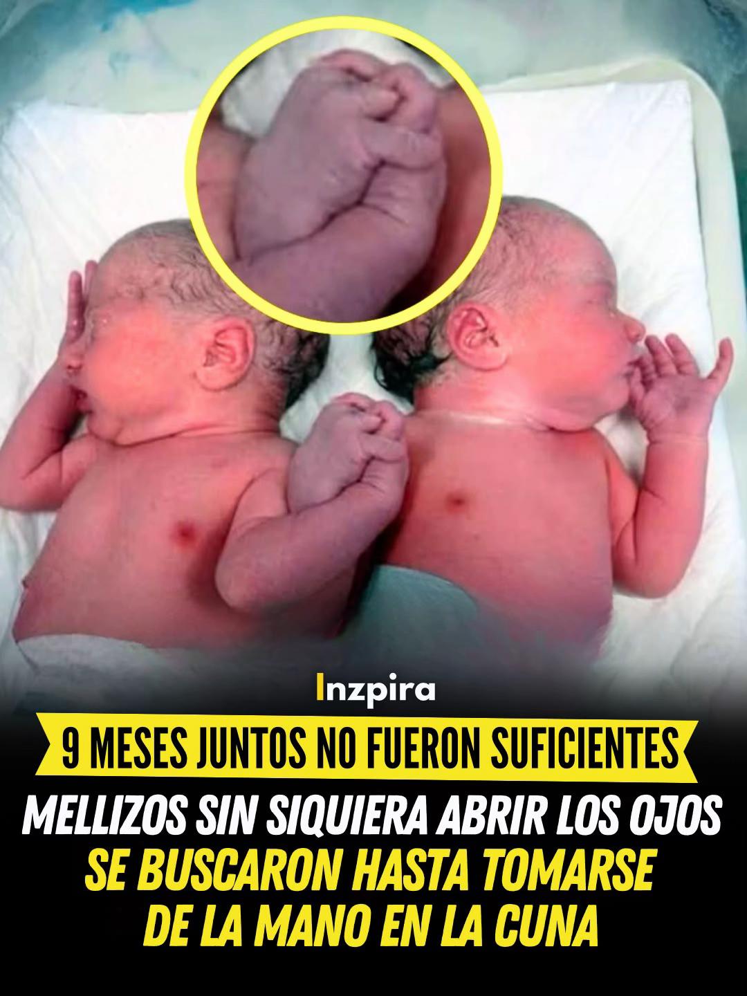 @inzpira.oficial