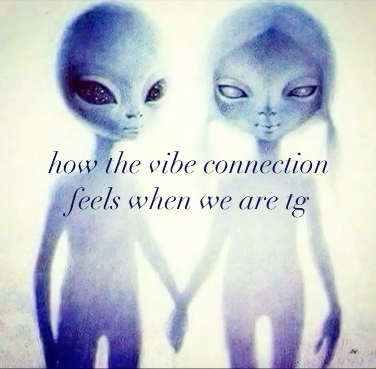 @riverrainss