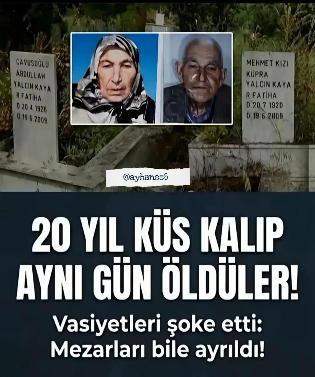 @berat25