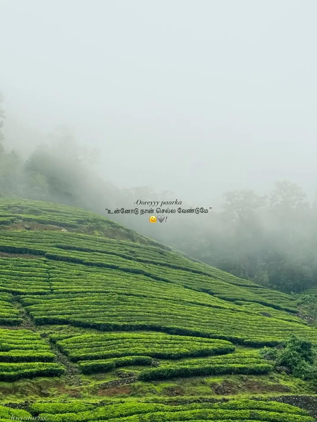 @༆నేష్彡