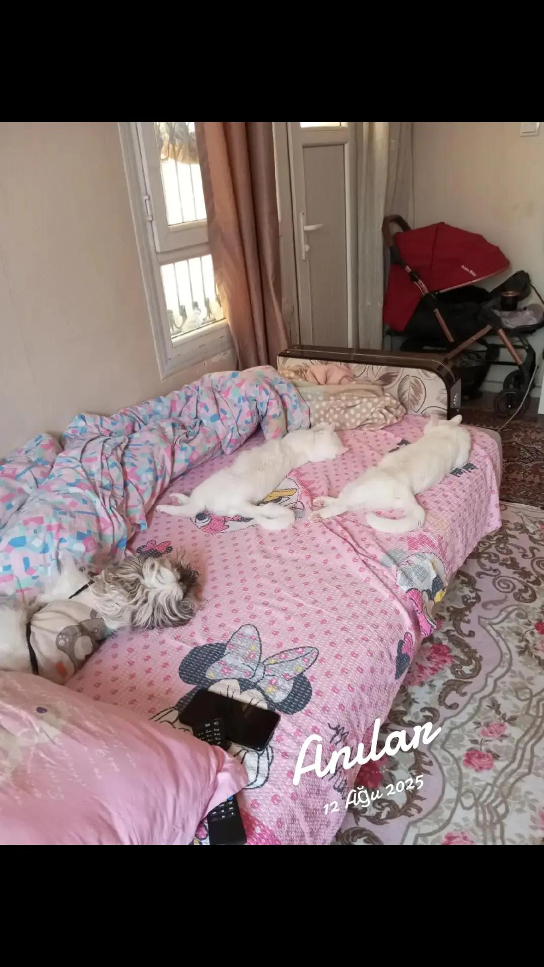 @YEŞİM❤️G&Uuml;L