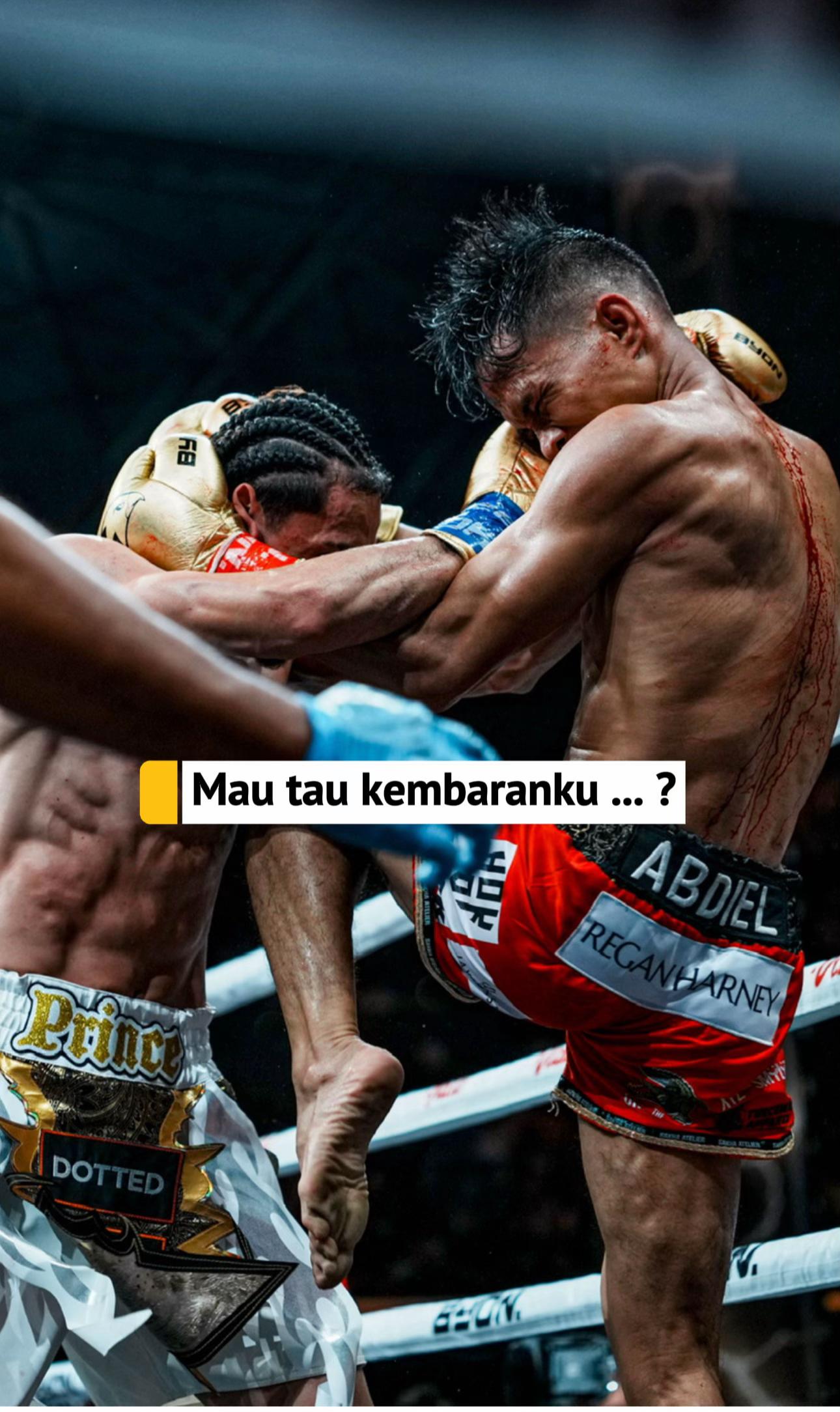 @Ronal🥊🇮🇩