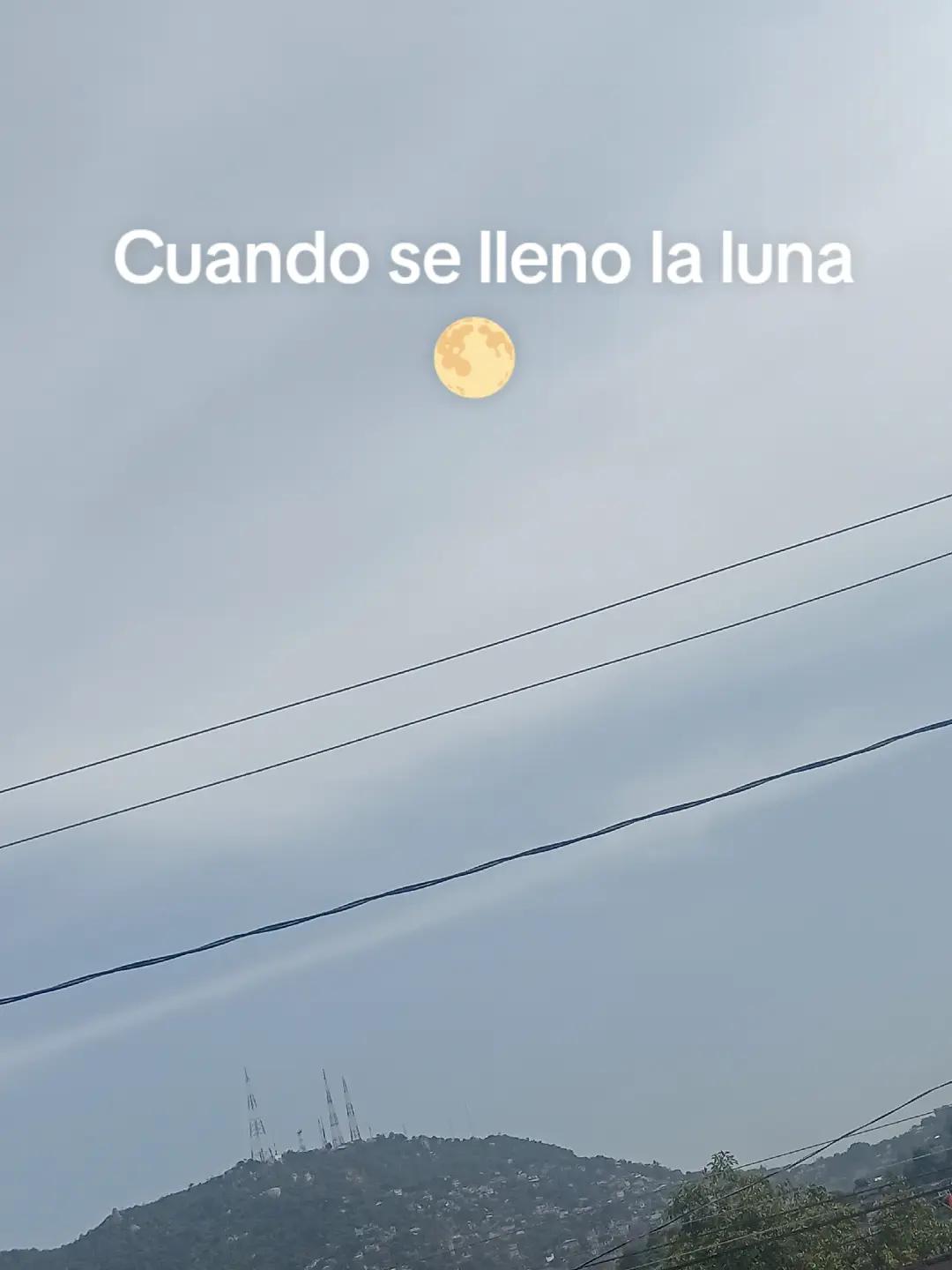 @Natalia Corona
