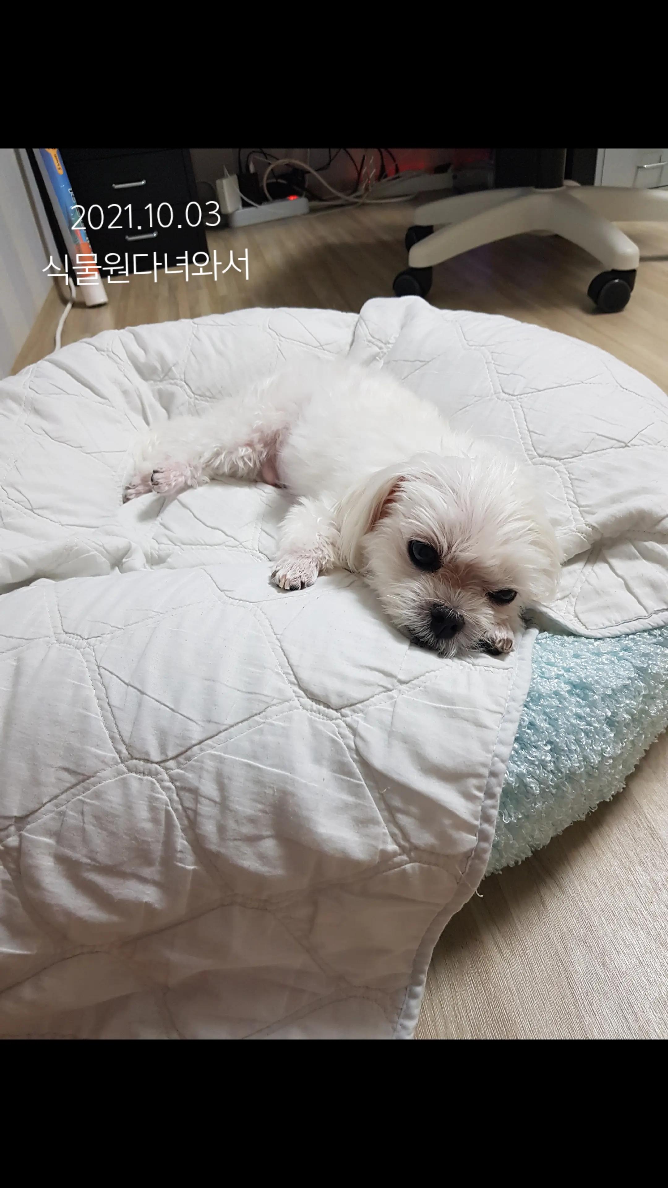 @초롱맘