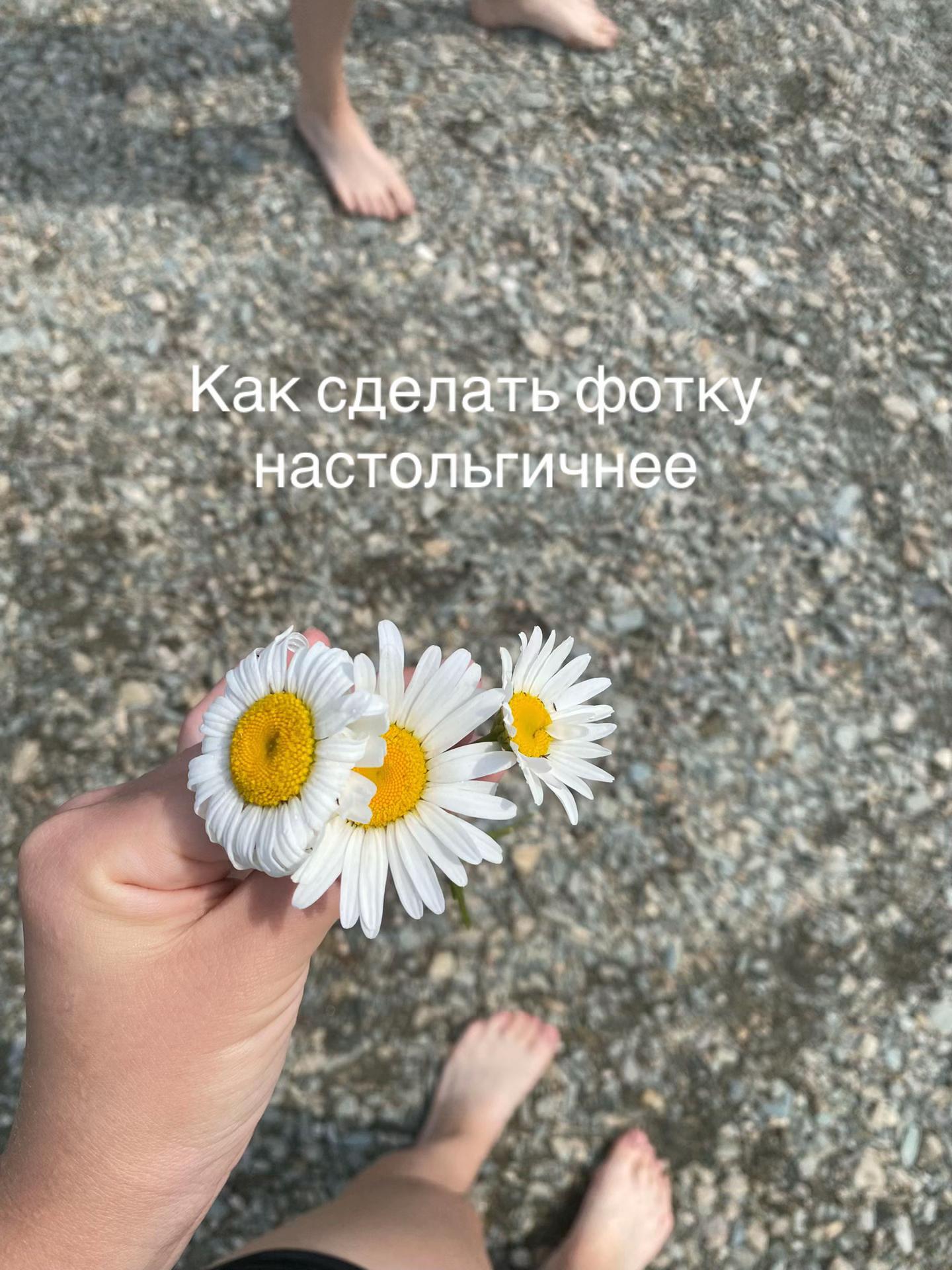 @Alisher🪽