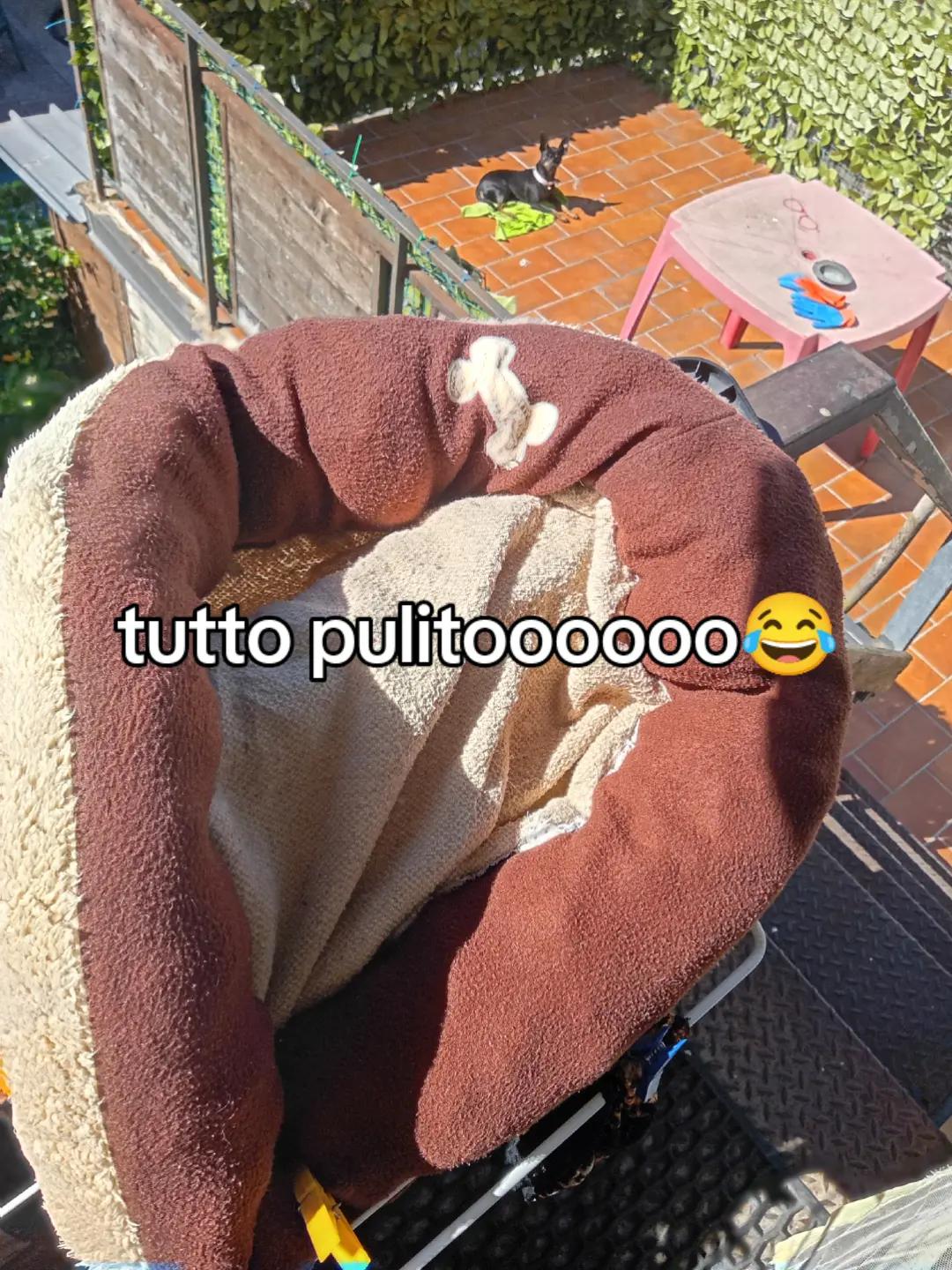 @misteriosa
