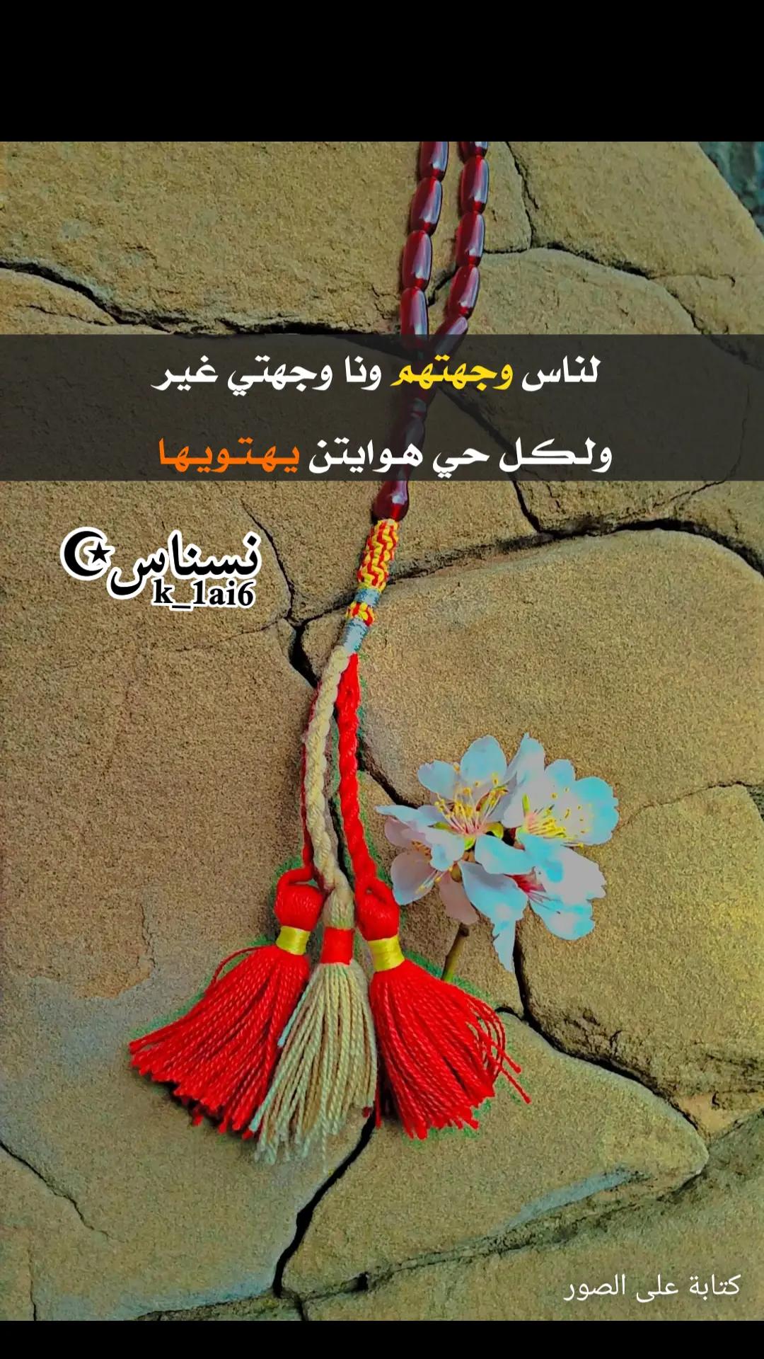 @نسناس☪︎