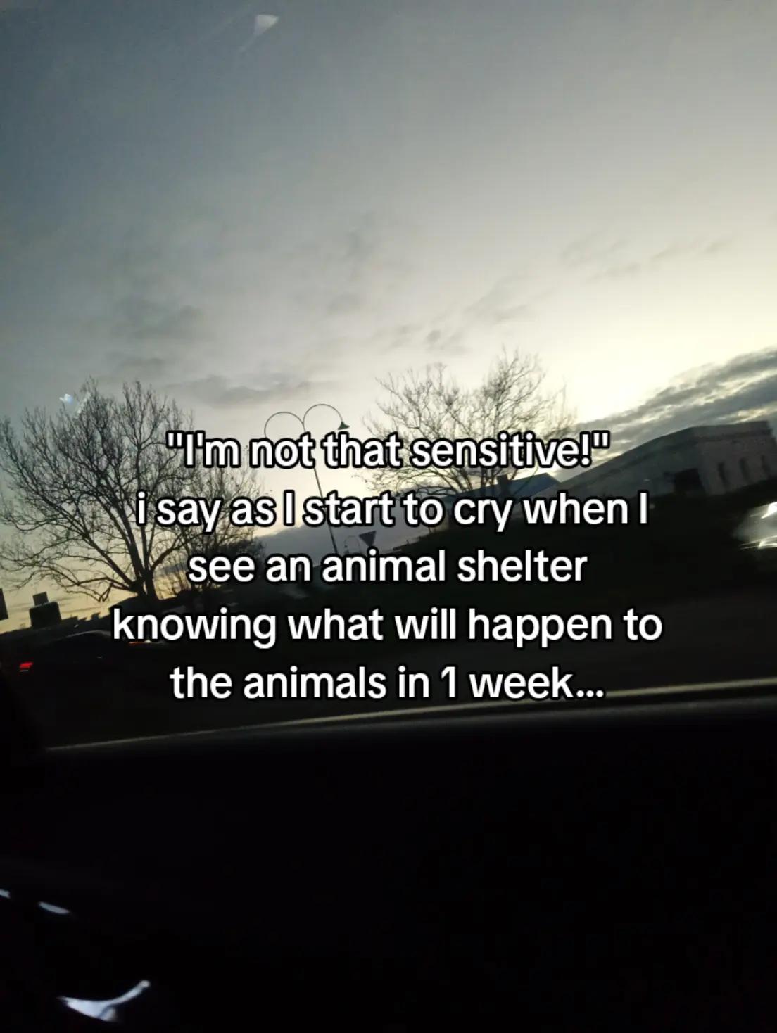 @♡☆𝓜𝓲𝓭𝓷𝓲𝓰𝓱𝓽☆♡