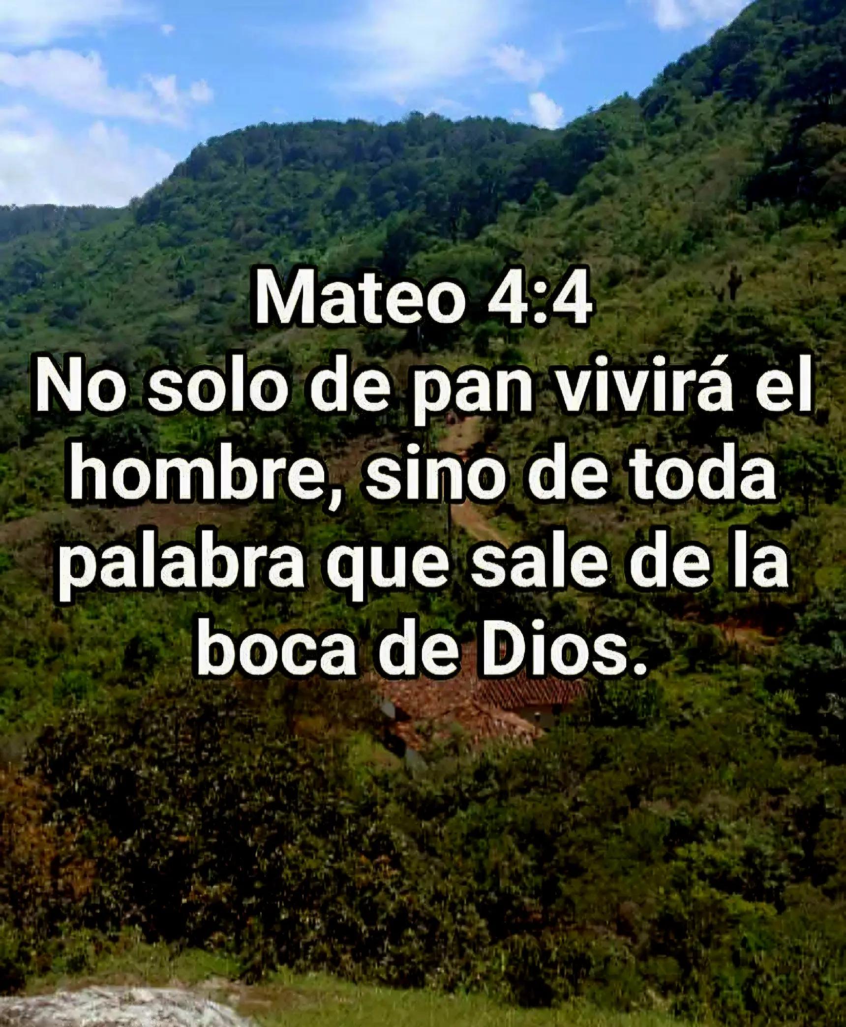 @hola, hola