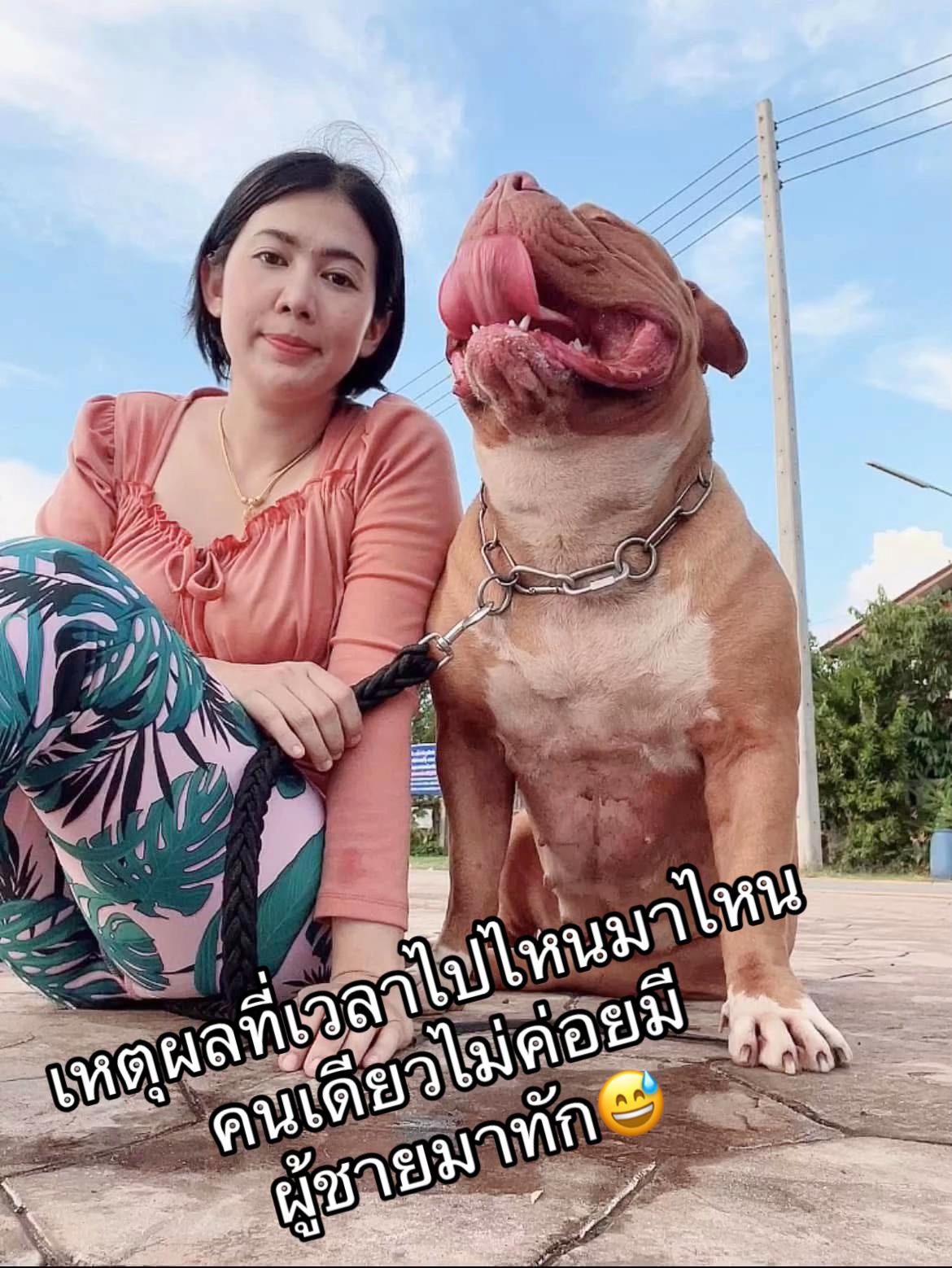 @❤️เป็ปเปอร์หมูจู๊ด❤️