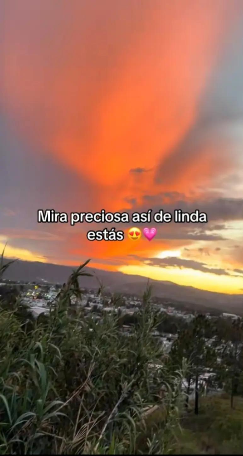 @el pelón