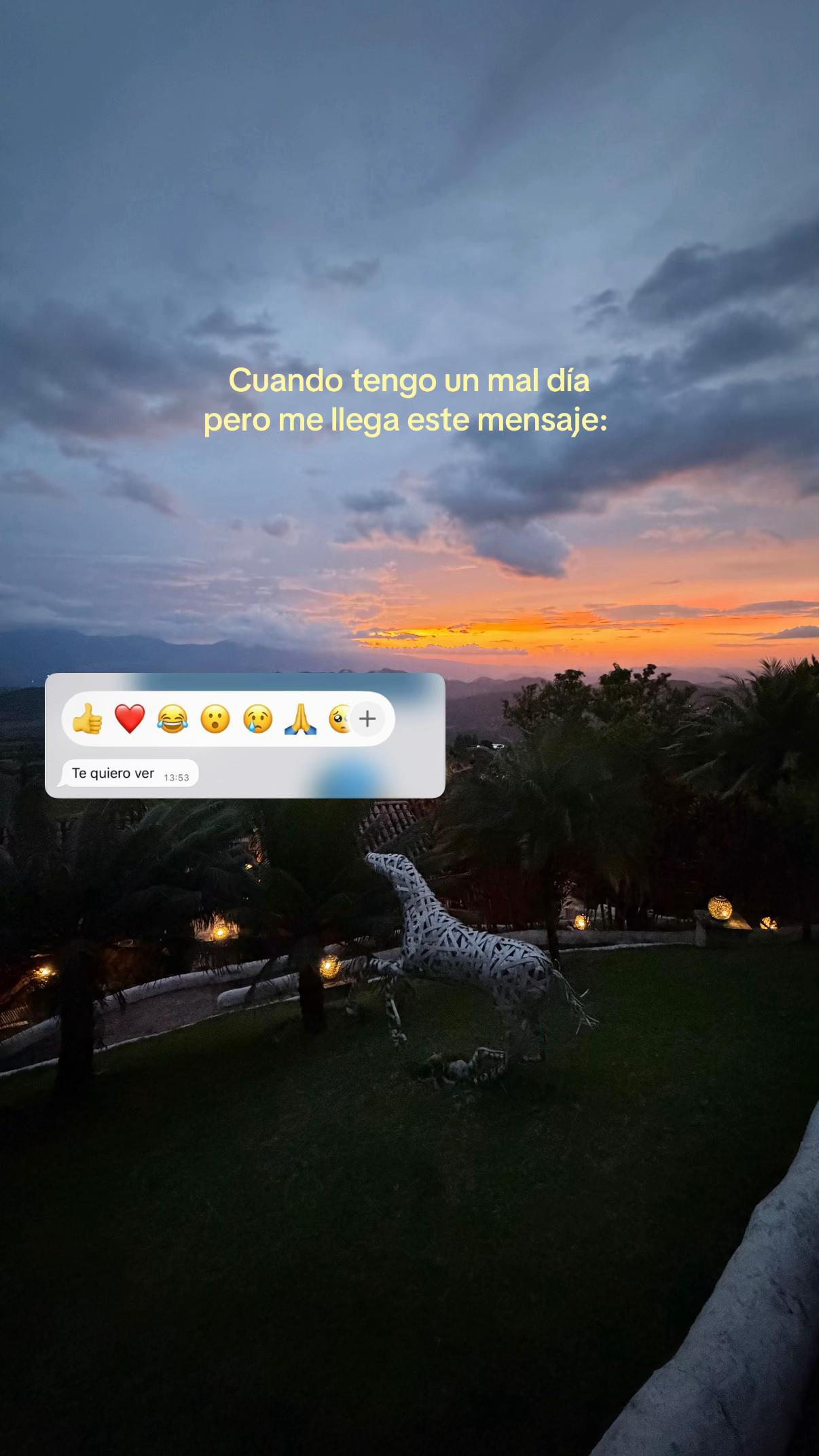 @laguaraesa