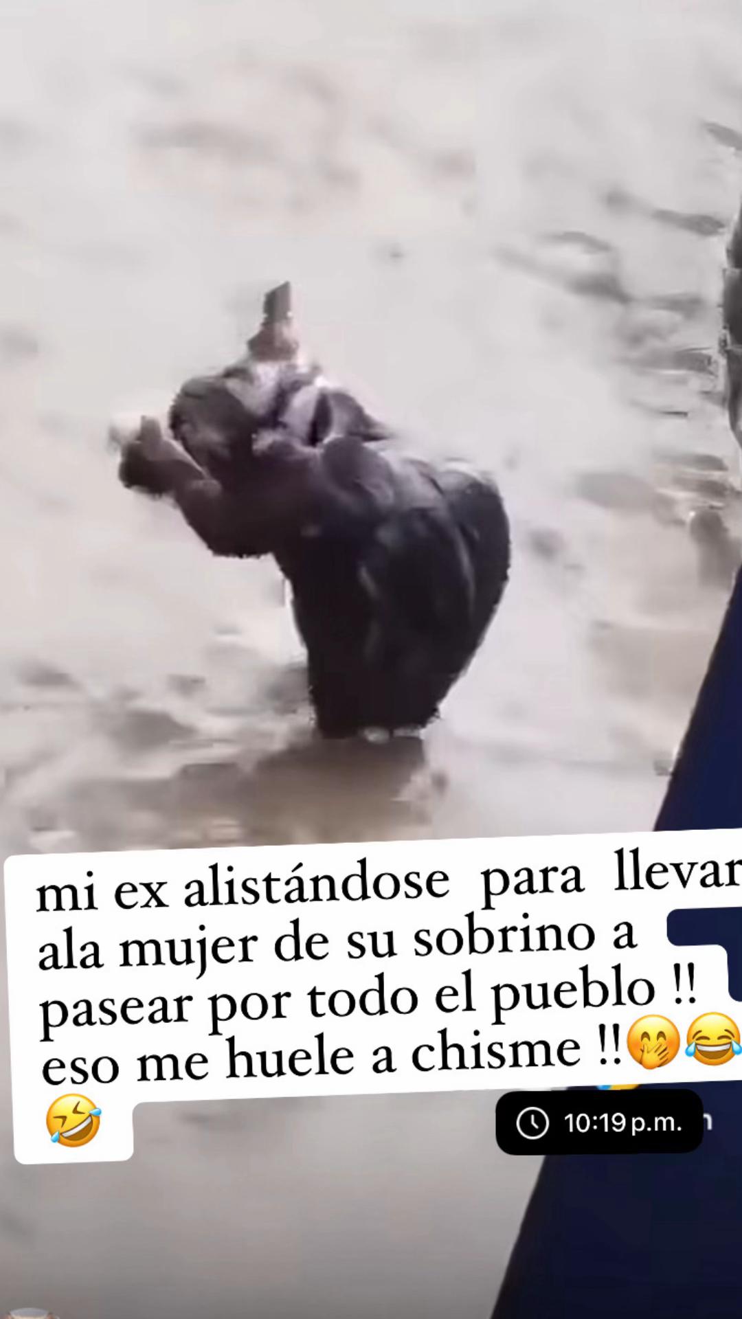 @Mary Avila
