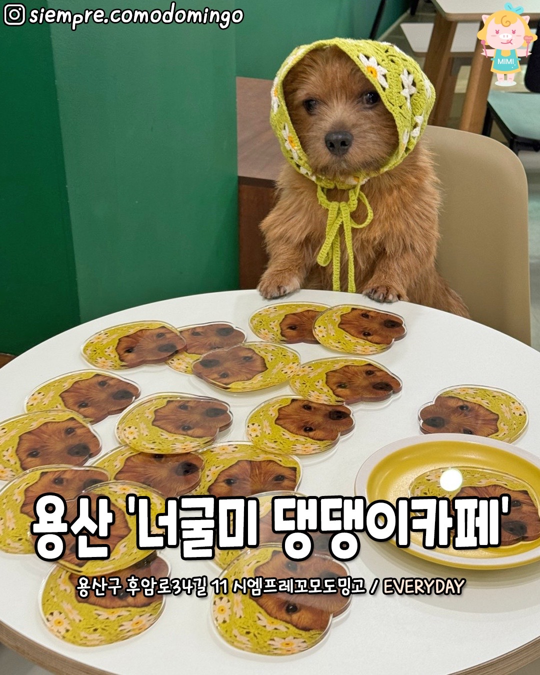 @서울핫플