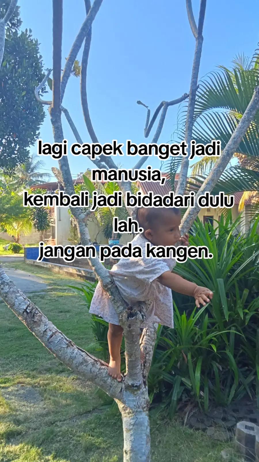 @ig. miellancas
