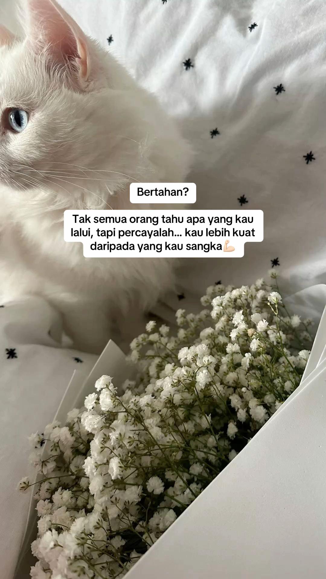@Izzatyy_