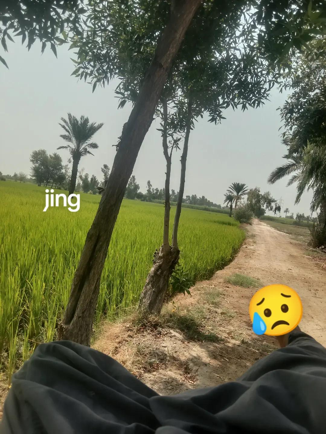 @asad bhakal بھ۔کل