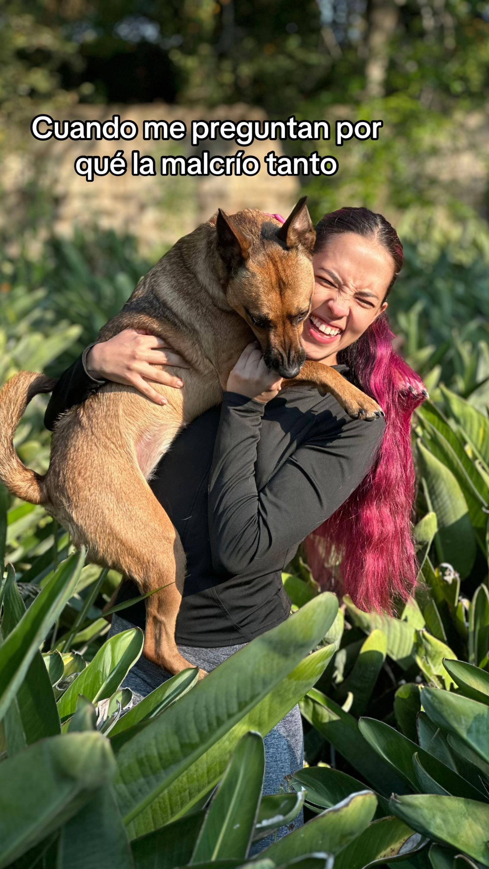 @lanutri.dogmom