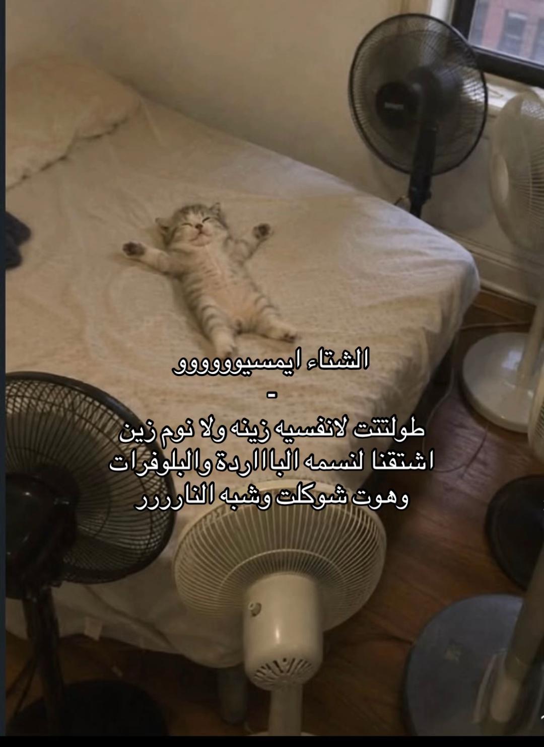 @الجوري🌷