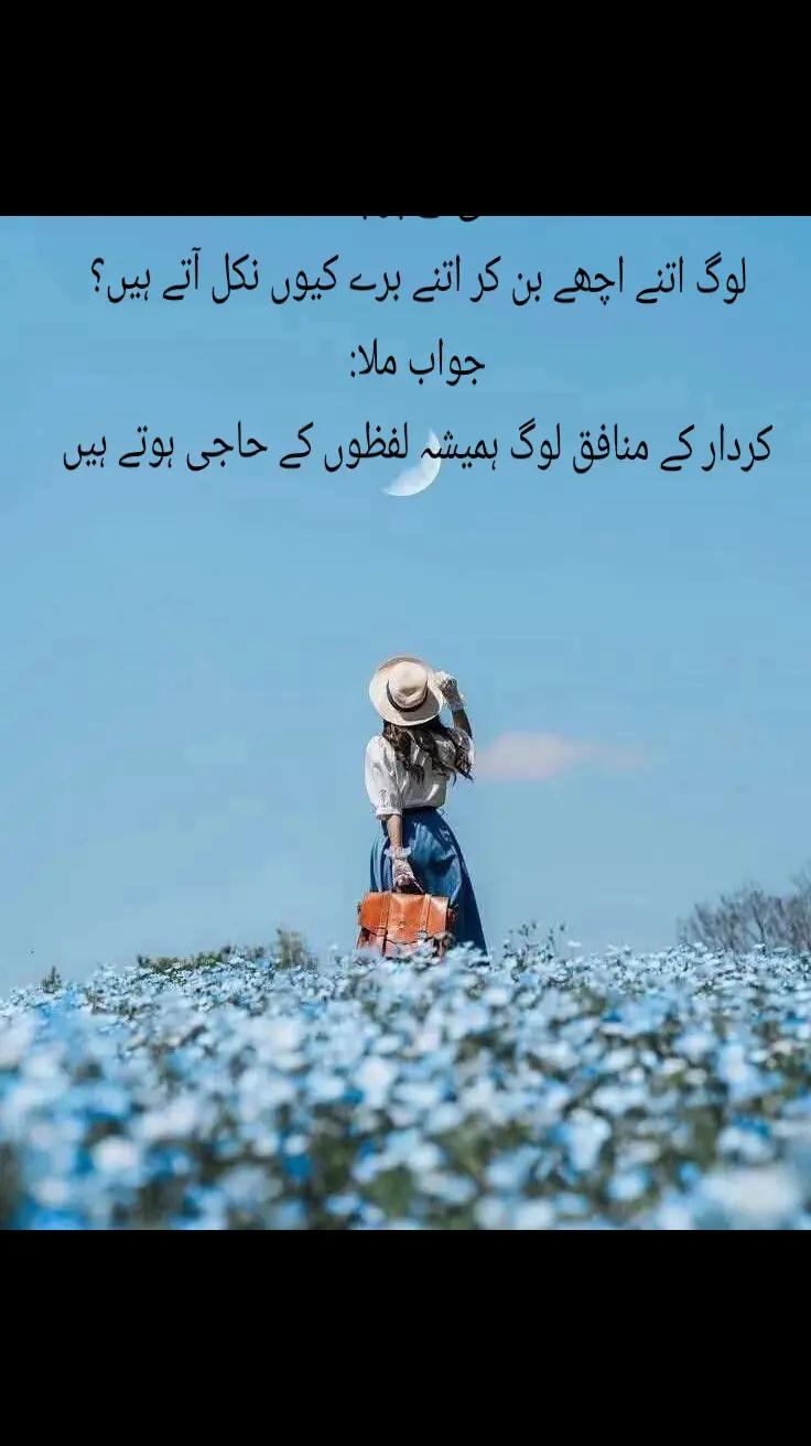 @Fariha Hassaan❤️