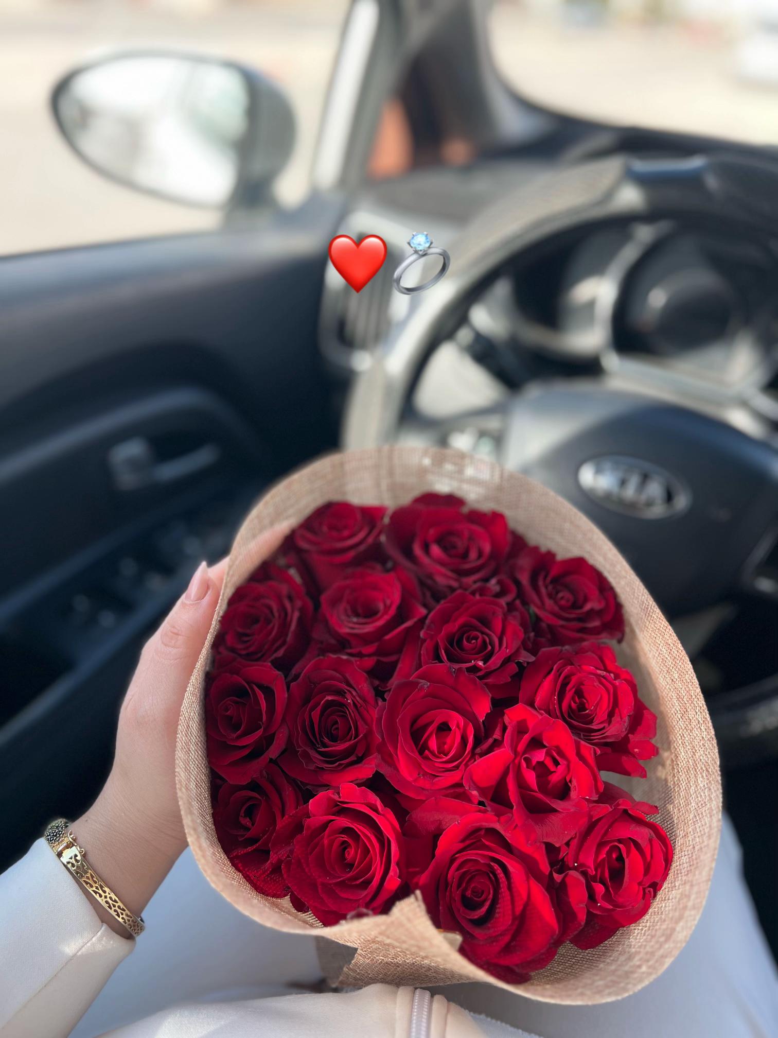 @𝐀𝐛𝐞𝐞𝐫 🕊️
