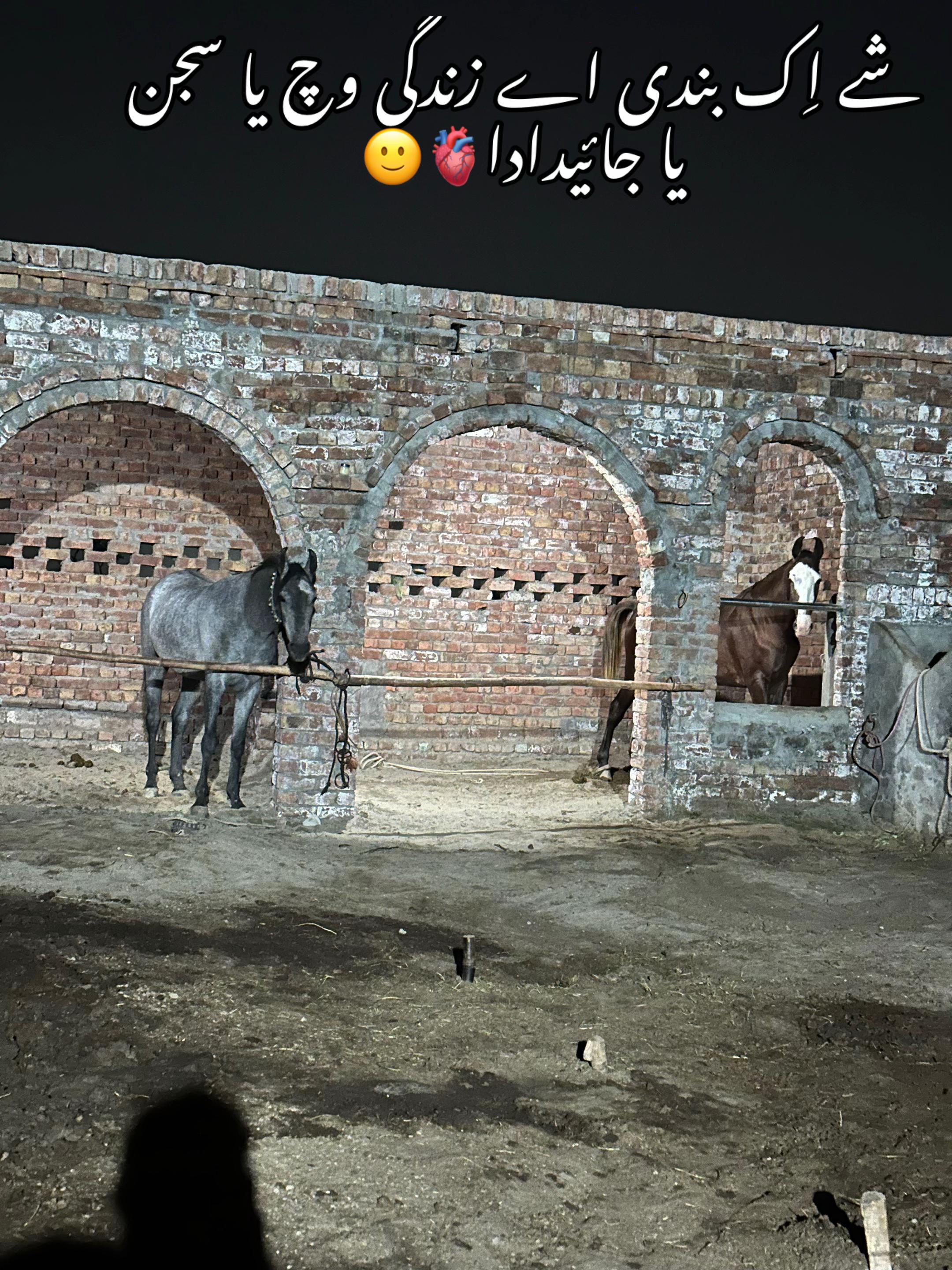 @Umair Wahla