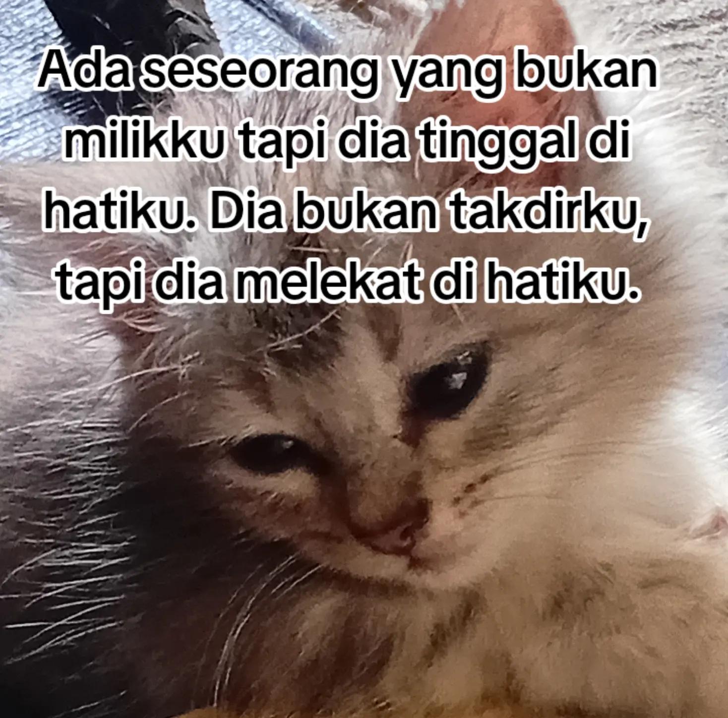 @Lestari